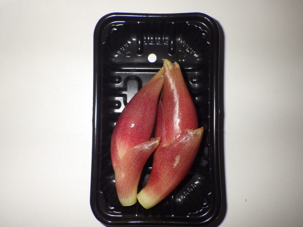 ミョウガの花穂