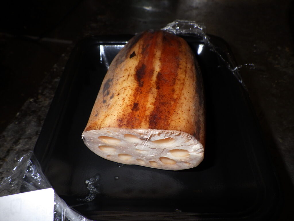 ハスの地下茎（＝蓮根）の断面