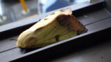 15.4202 クロモンシタバ 成虫 側面
