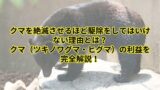 Posts 16225 Featured Image Why Bears Should Not Be Eradicated
