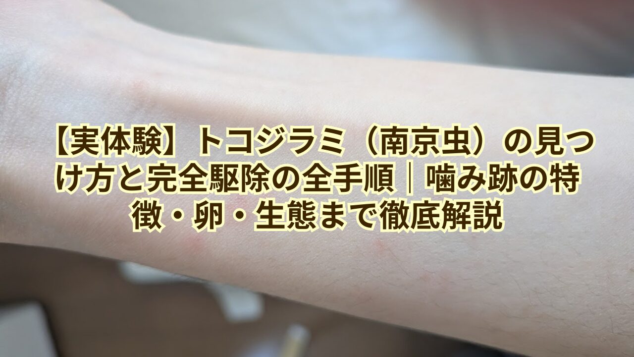 トコジラミ（南京虫）の見つけ方と完全駆除の全手順